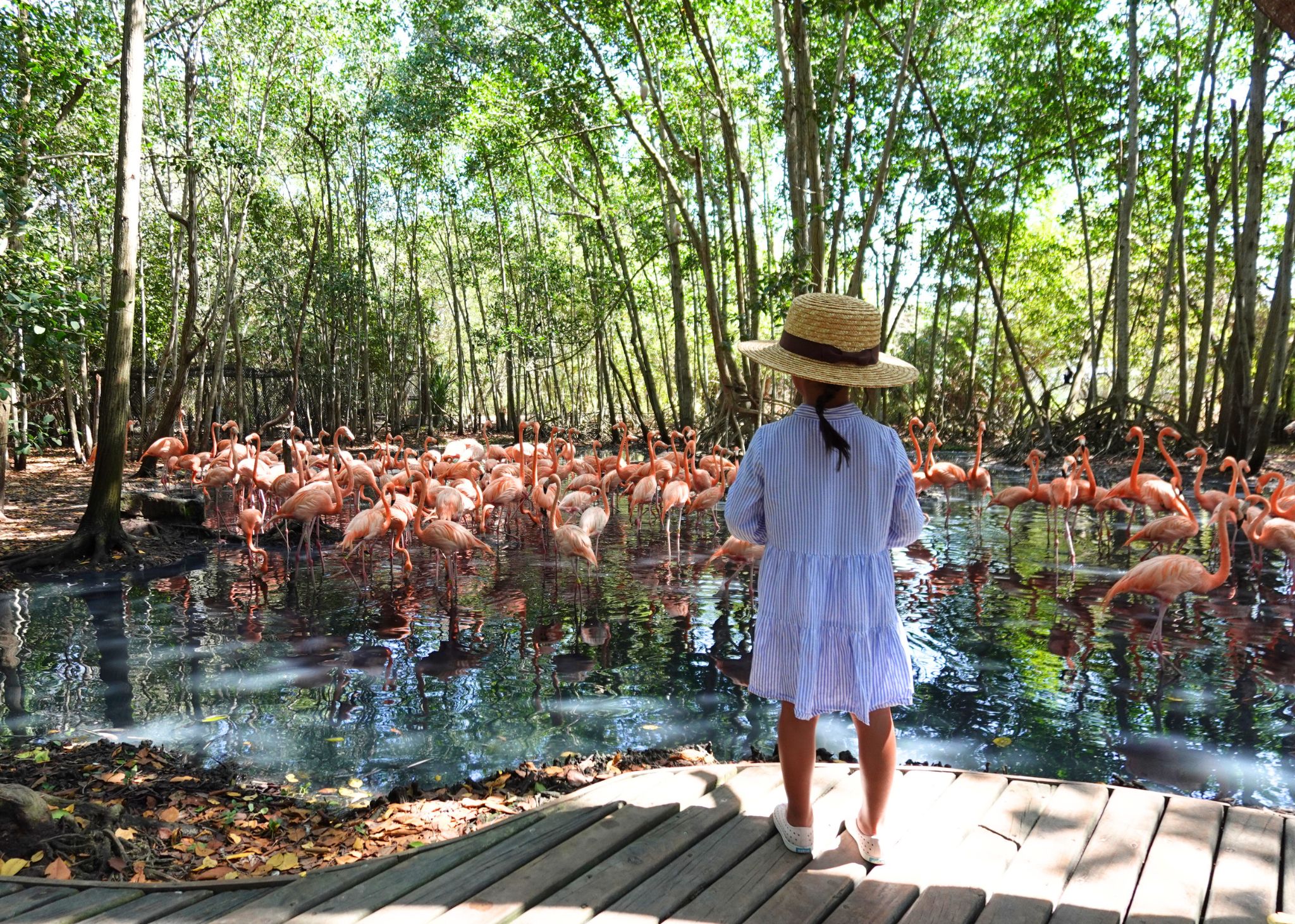 Cartagena with Kids: The Complete 4-Day Family Itinerary